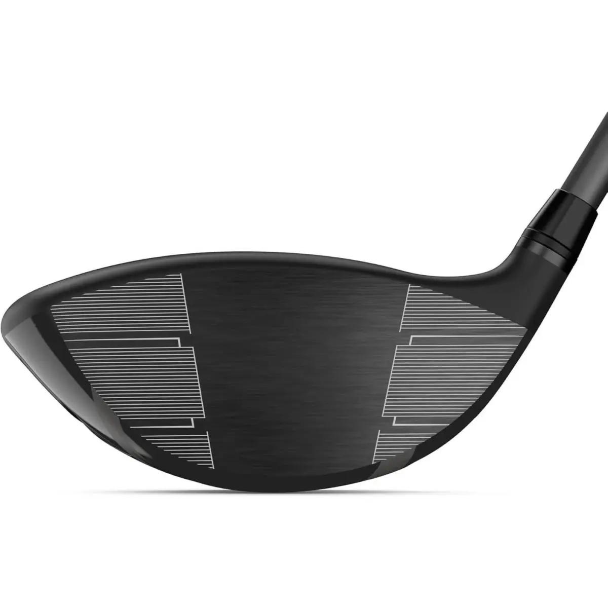 Wilson  1