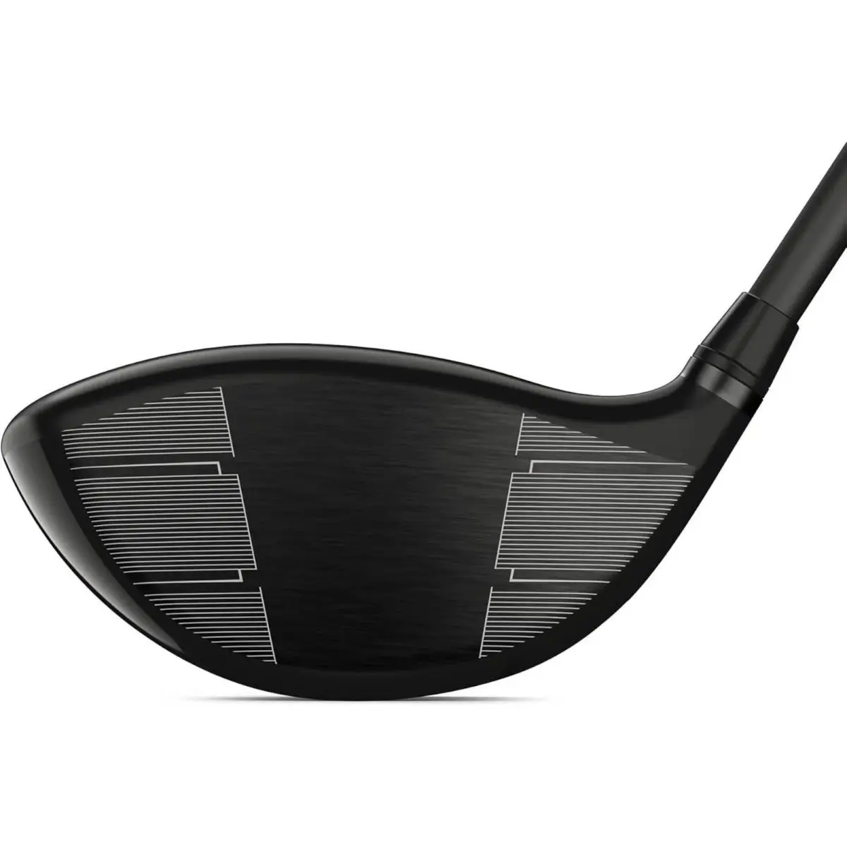 Wilson  1