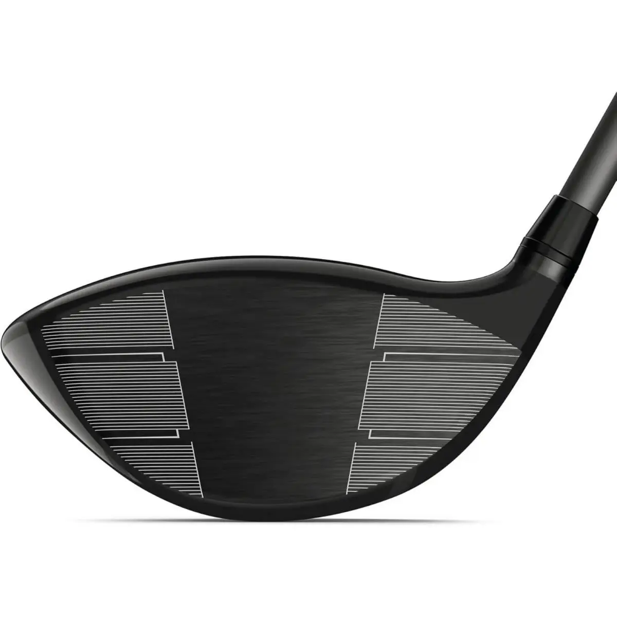 Wilson  1