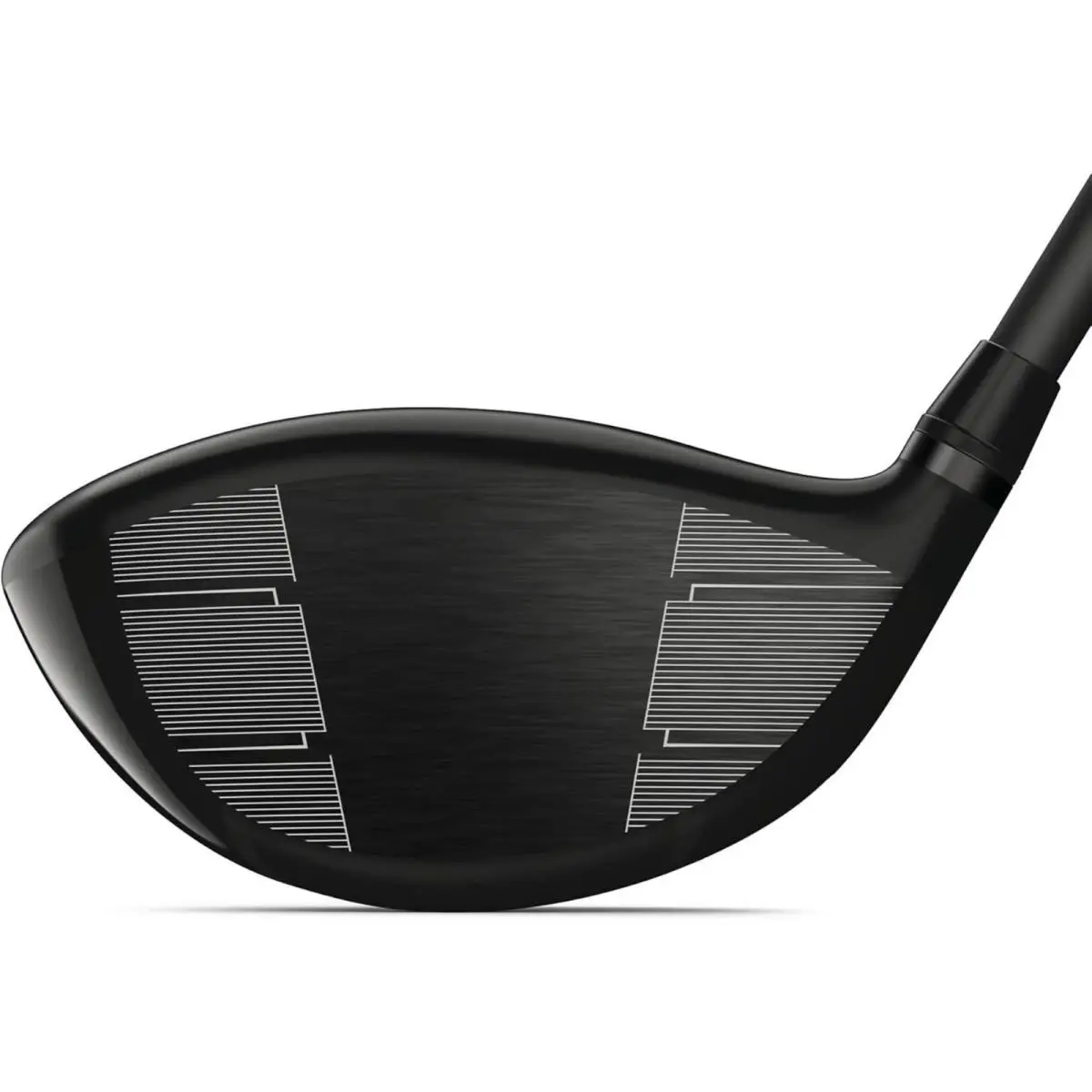 Wilson  5