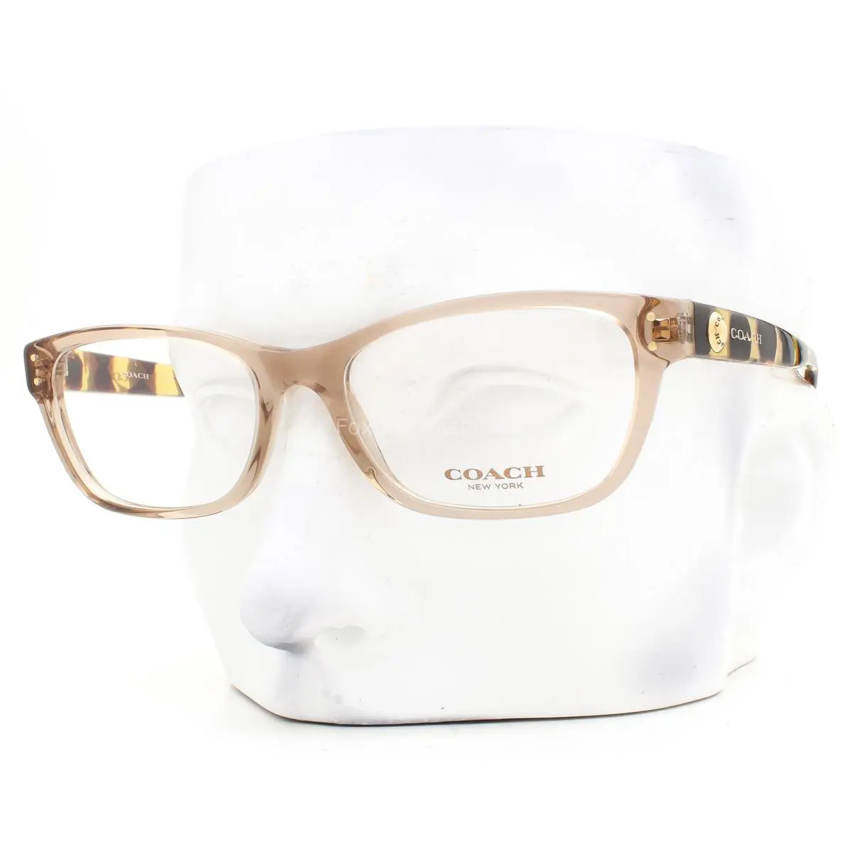 Coach Eyeglasses HC 6082 5561 Glasses Polished Transparent Brown 53mm with Case