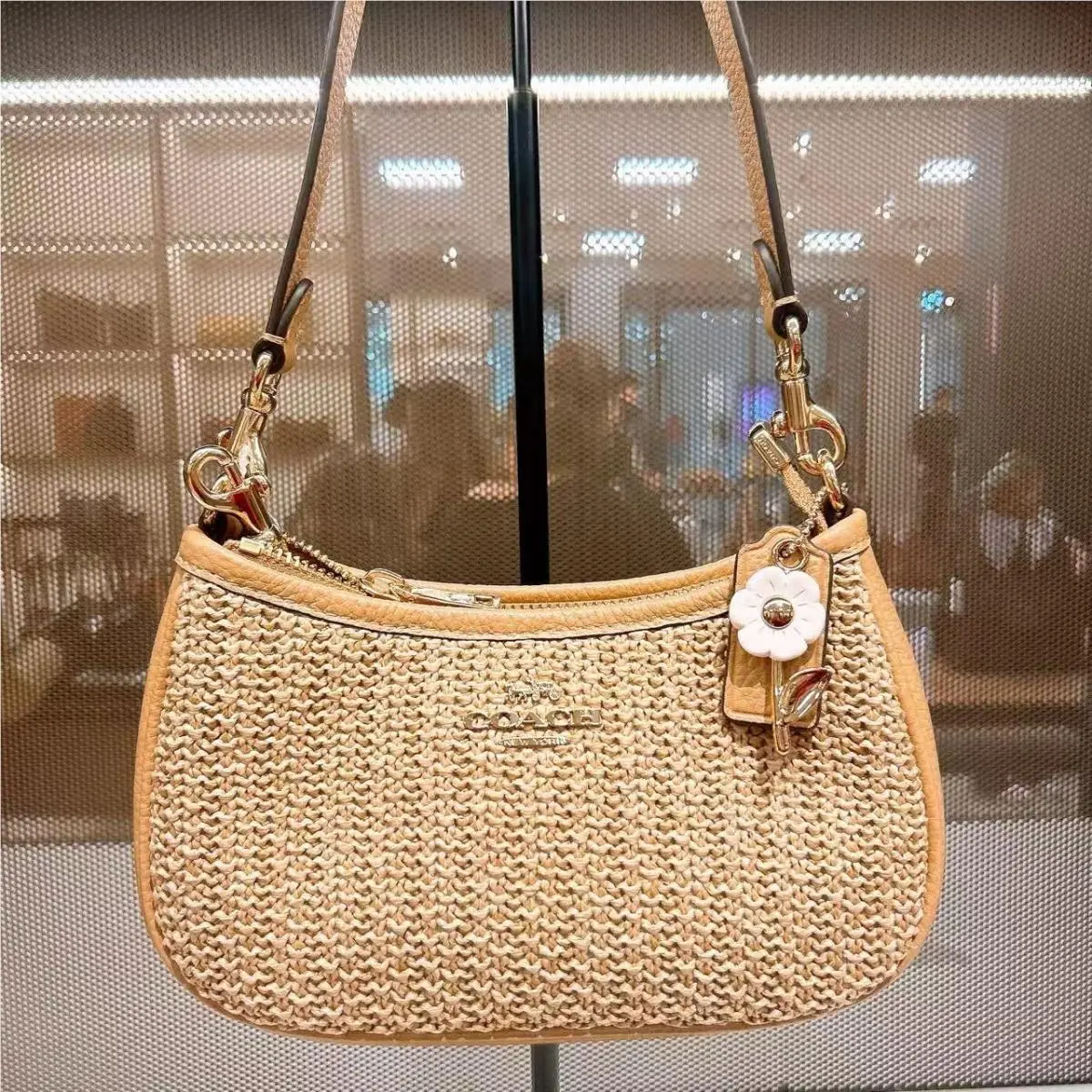 Coach Teri Mini Crossbody Bag CDW66 Toast