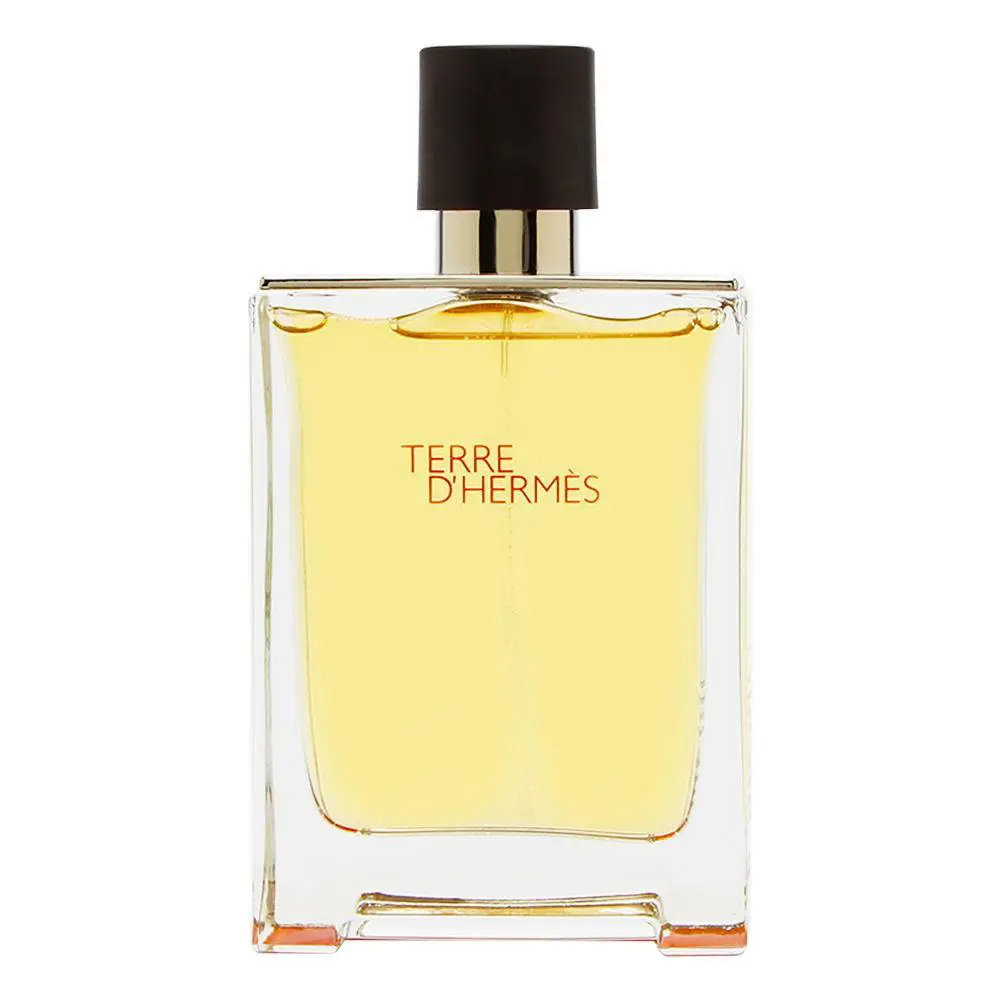 Hermes Men`s Terre D`hermes Edt Spray 3.4 oz Tester 100 ml