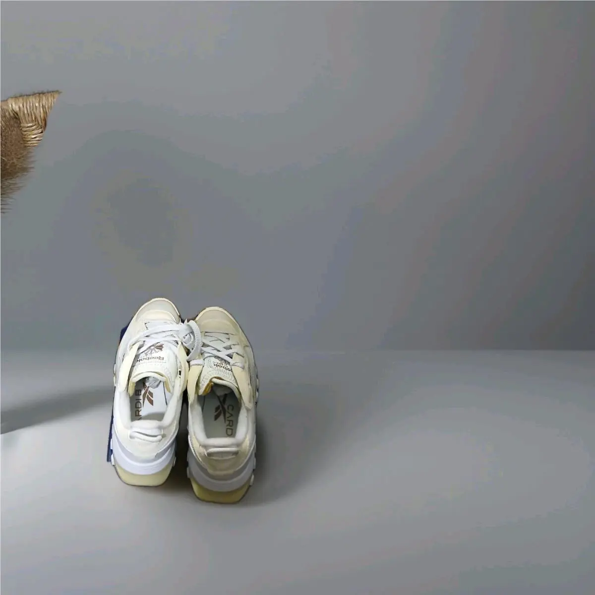 Reebok shoes - Reebok Classic - Classic - H00686 - White 2