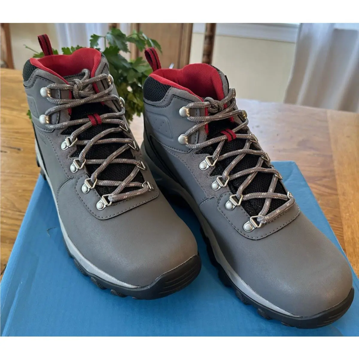 Columbia shoes - Newton Ridge all Plus - Newton Ridge all Plus - Brown 0