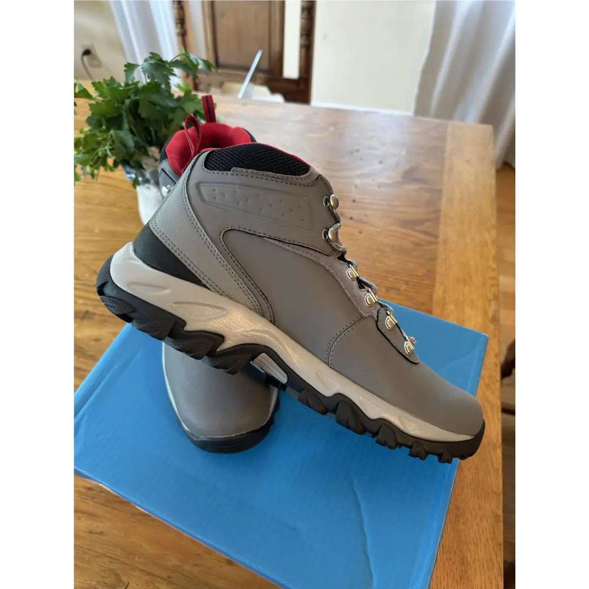 Columbia shoes - Newton Ridge all Plus - Newton Ridge all Plus - Brown 2