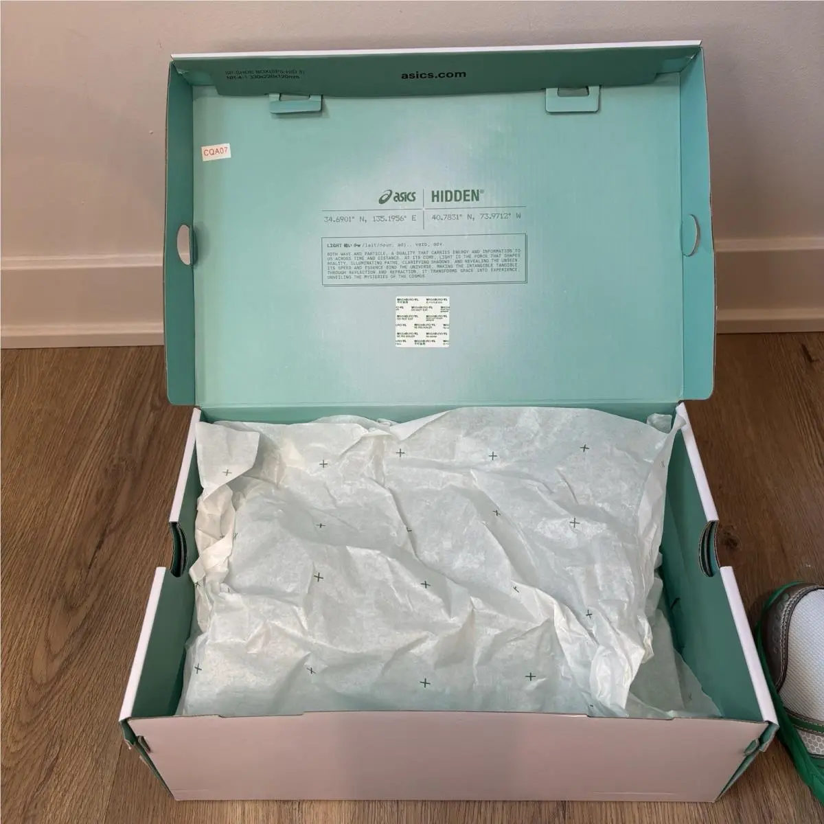 Asics shoes - Asics Hidden NY Gel-DS - Hidden - 1203A974-100 - White (UPC: 0199023170163) 1