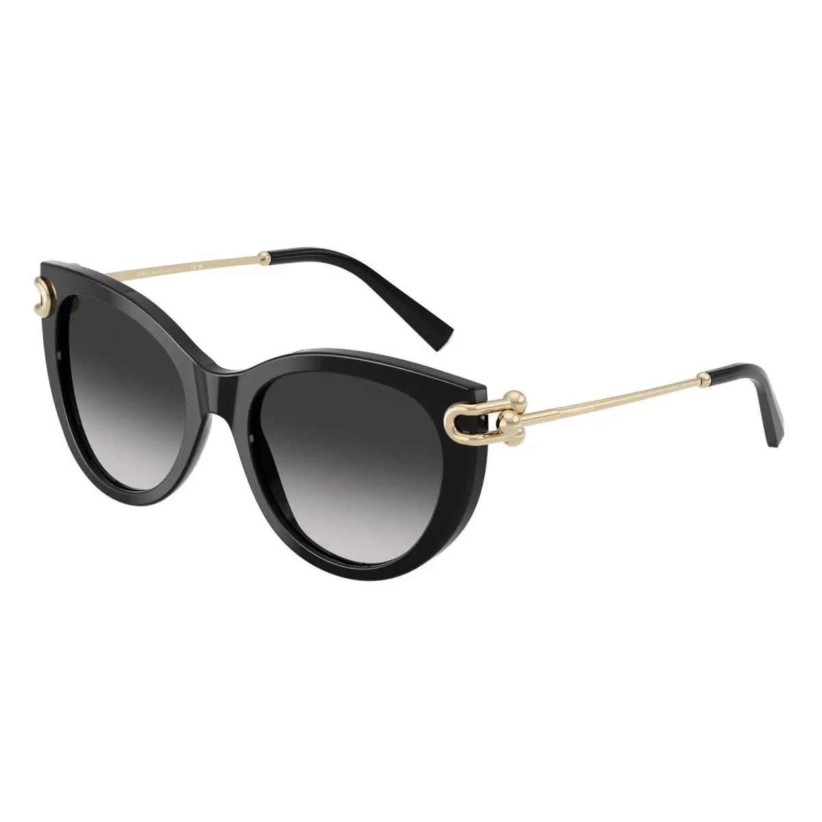Tiffany 4232 Sunglasses 80013C Black