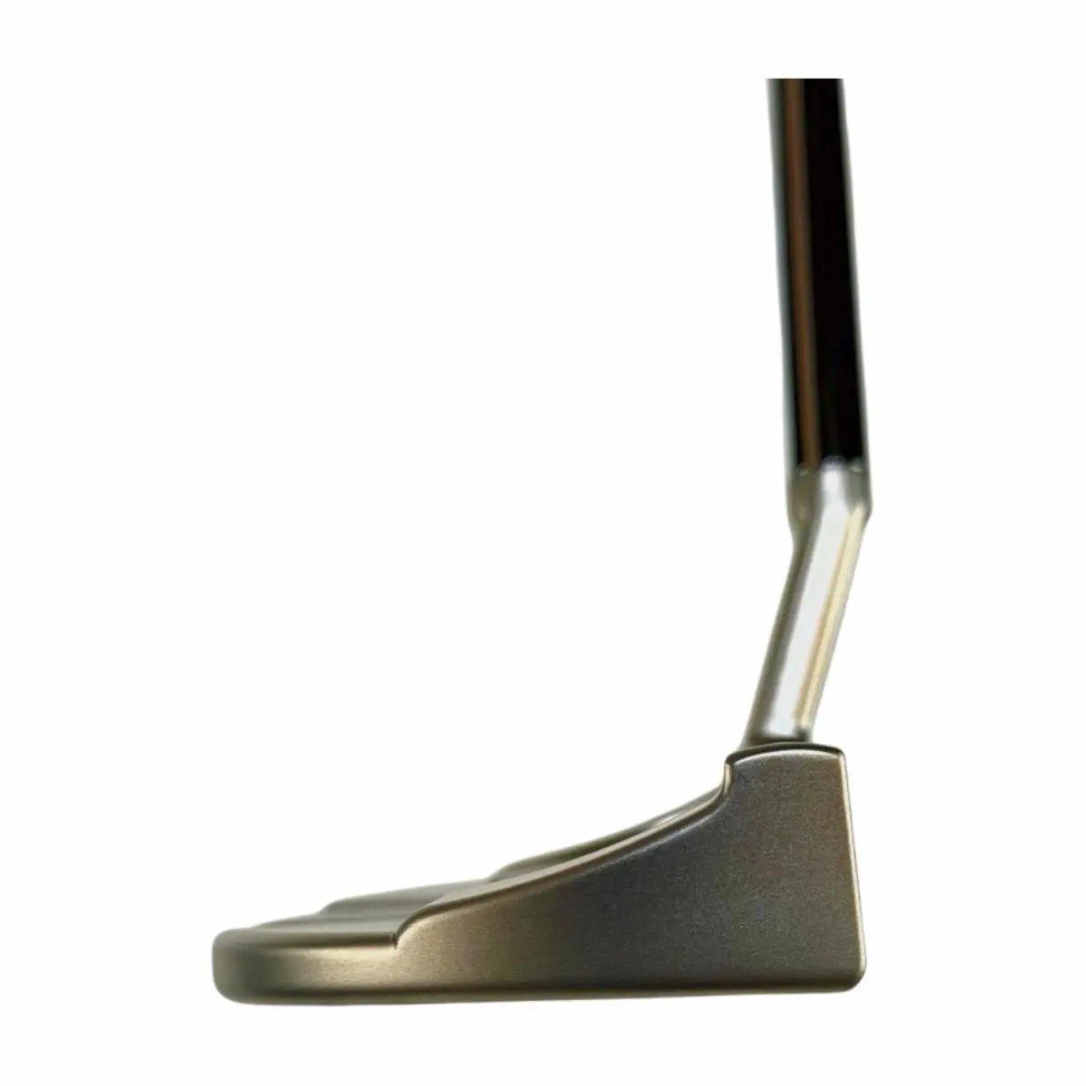 Scott  - Buttonback - Buttonback 1