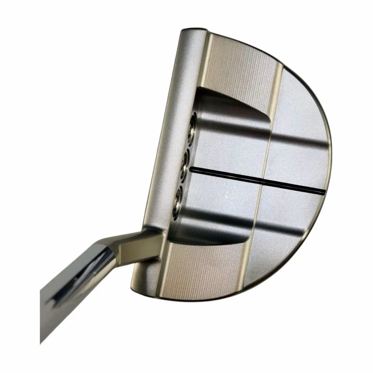 Scott  - Buttonback - Buttonback 4