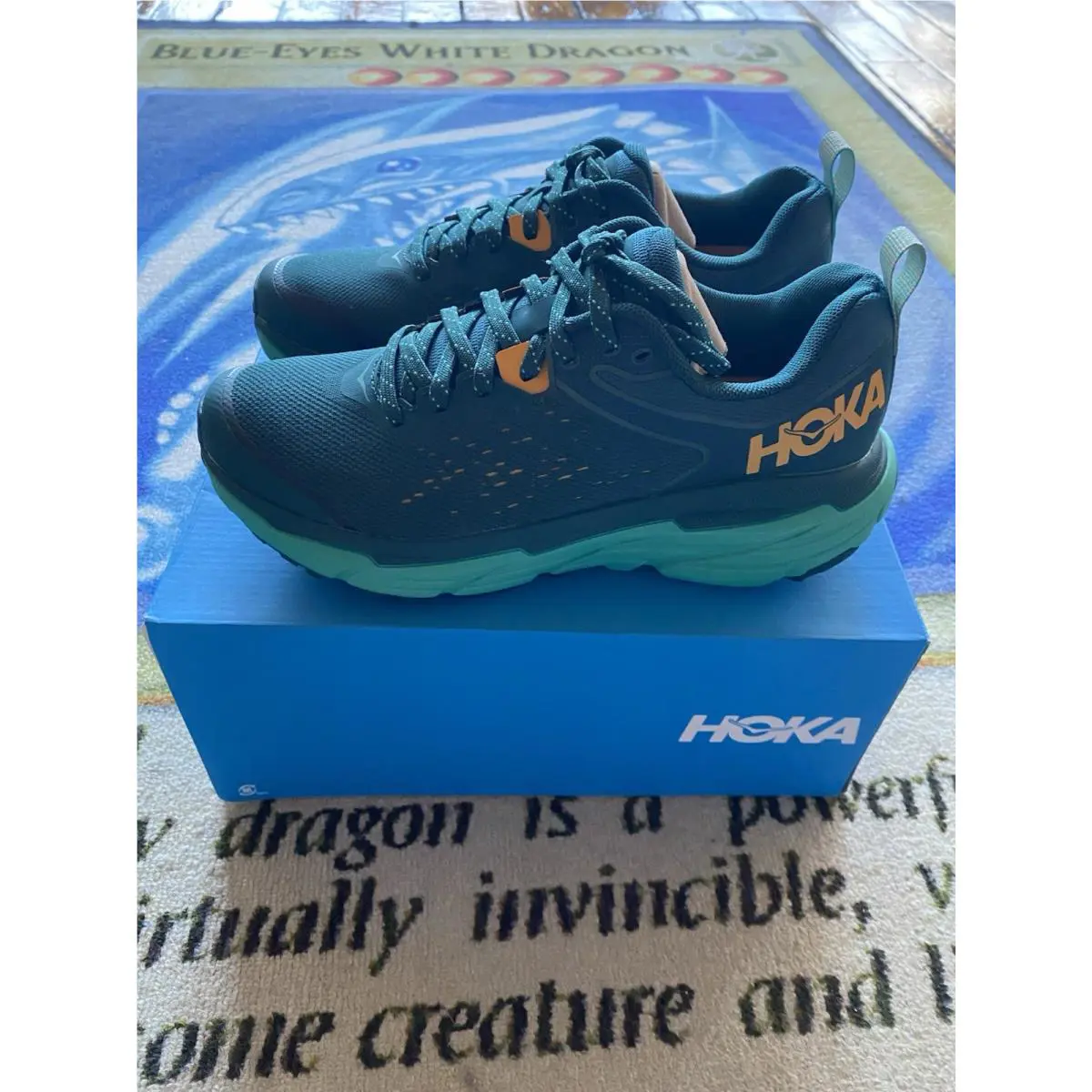 Hoka shoes - Hoka One One Challenger ATR 6 - 1106512 - Blue 5