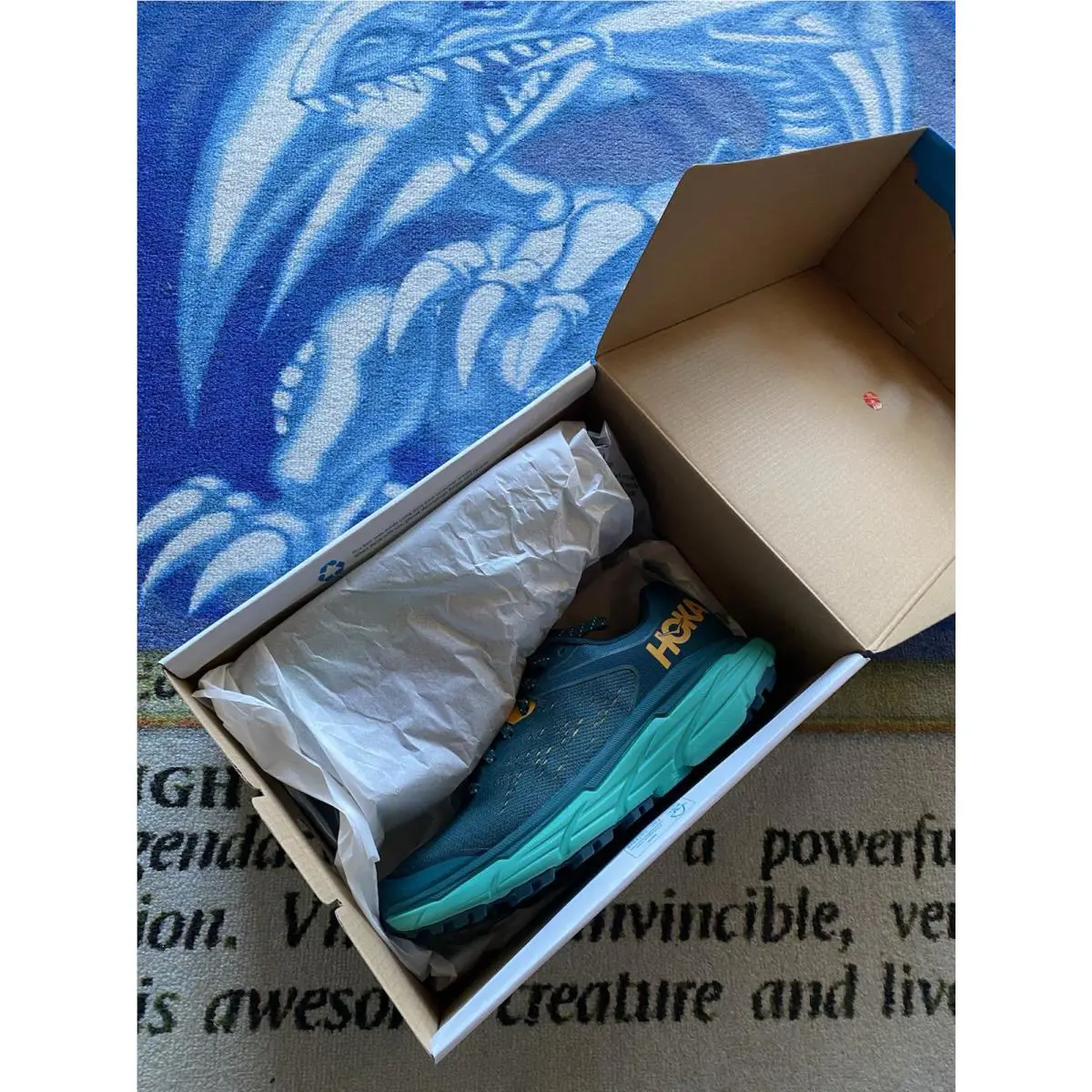 Hoka shoes - Hoka One One Challenger ATR 6 - 1106512 - Blue 0