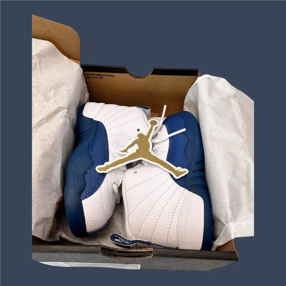 Nike shoes - Childrens Air Jordan 12 Retro GS White/French Blue – 850000-114 5