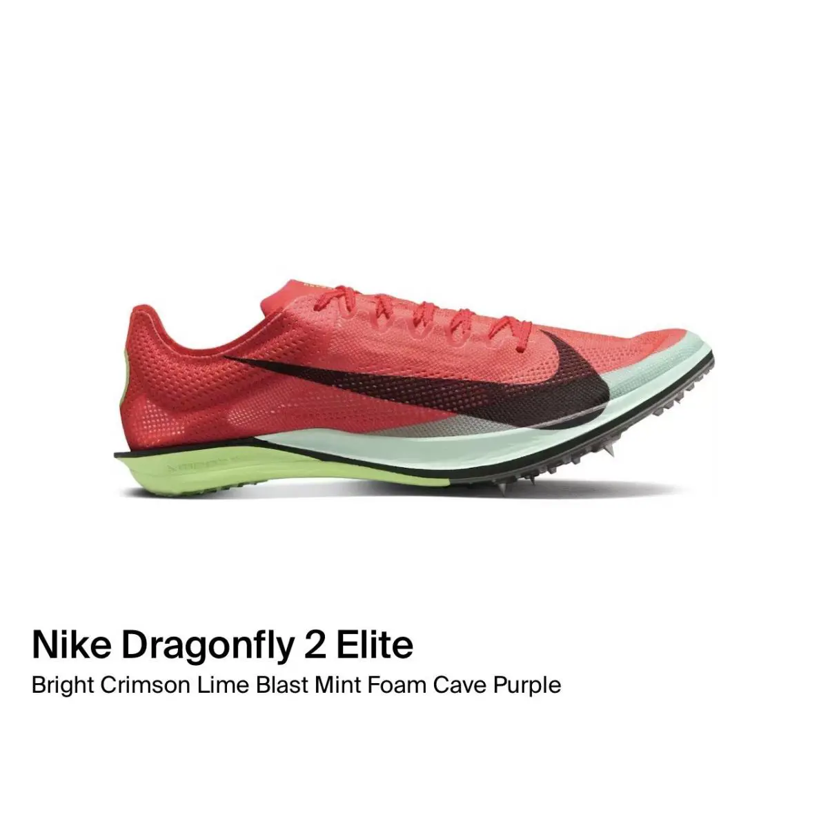 Nike shoes - Nike ZoomX - ZoomX - Multicolor 10