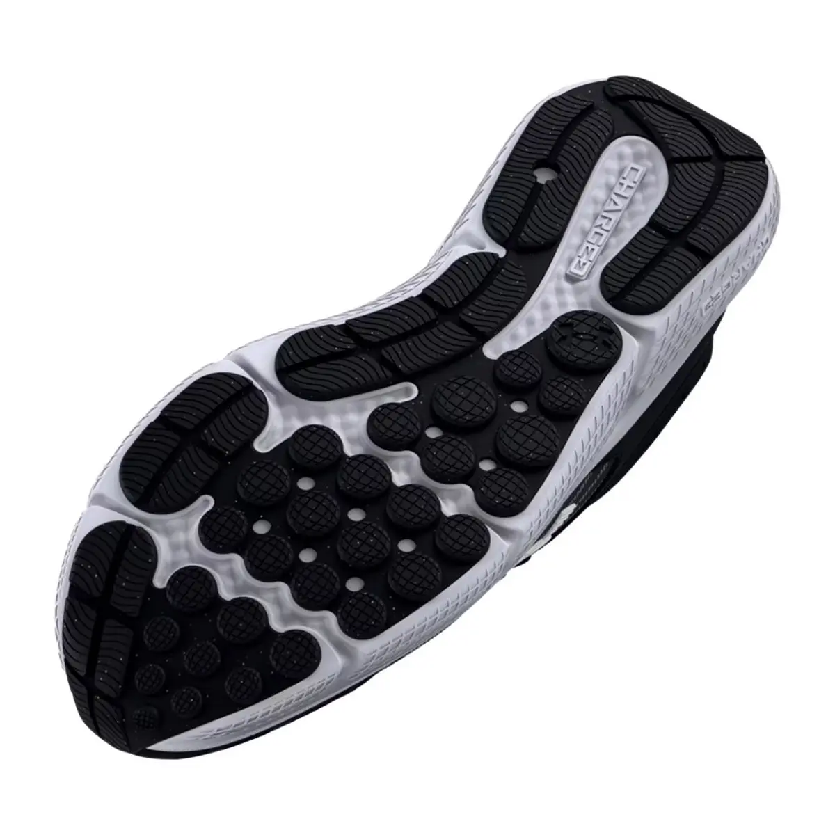 Under Armour shoes - Charged Assert 10 - Charged Assert - Multicolor 2