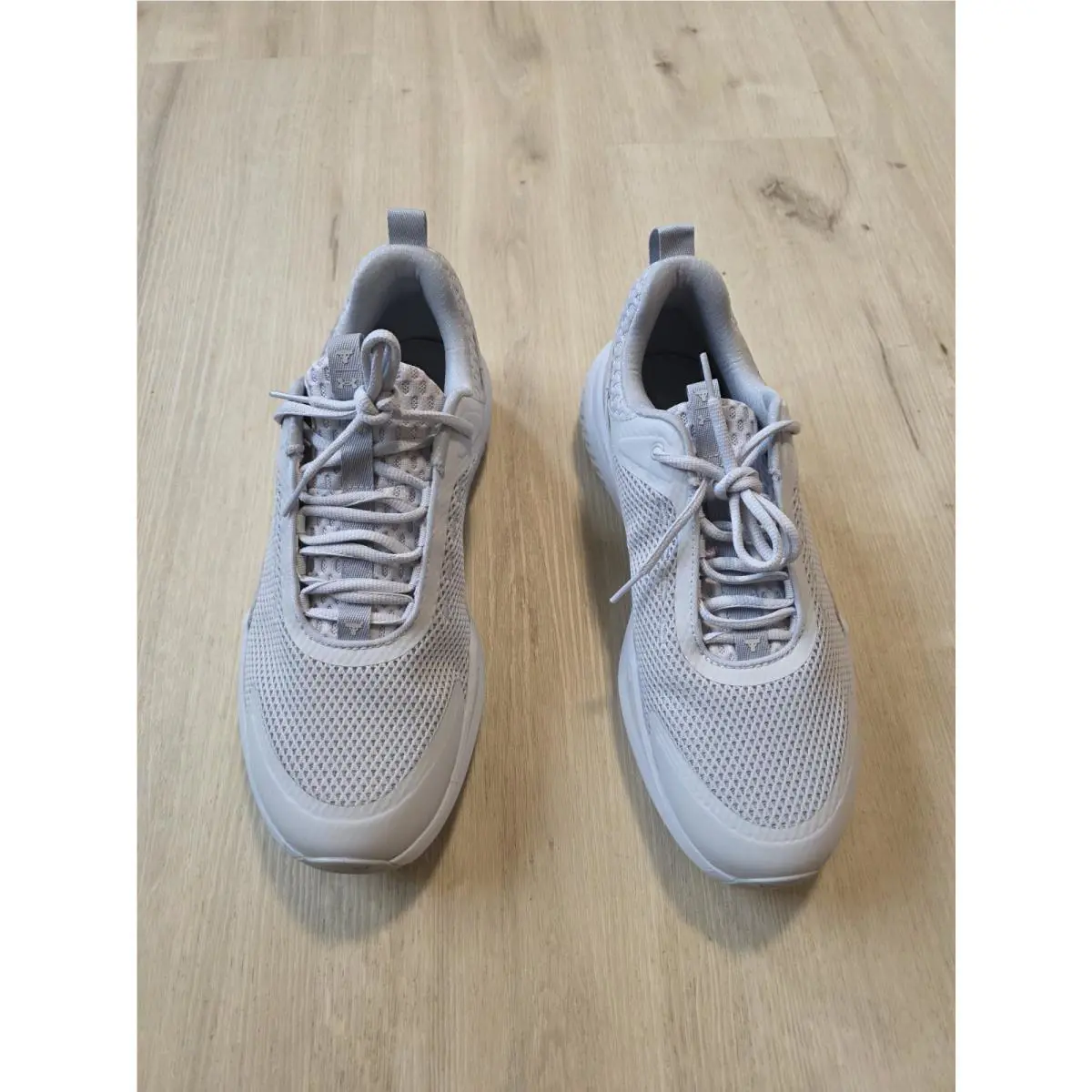 Under Armour shoes - Under Armour Project Rock BSR 5 - 3028296-100 - Halo Gray 4