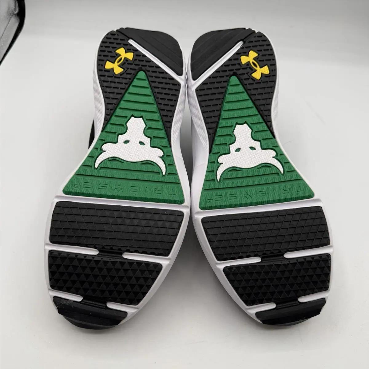 Under Armour shoes - Under Armour Project Rock BSR 5 - 3028283-004 - Black 8