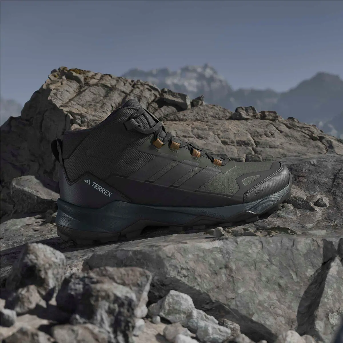 Adidas shoes - Adidas TERREX - TERREX - Core Black/Core Black/Carbon 18