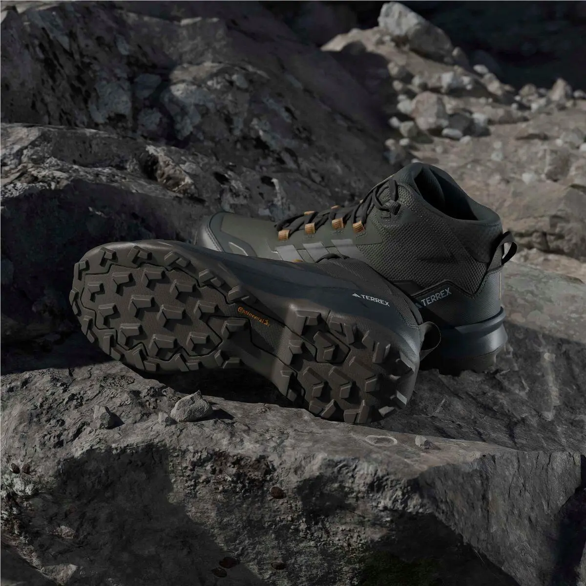 Adidas shoes - Adidas TERREX - TERREX - Core Black/Core Black/Carbon 19