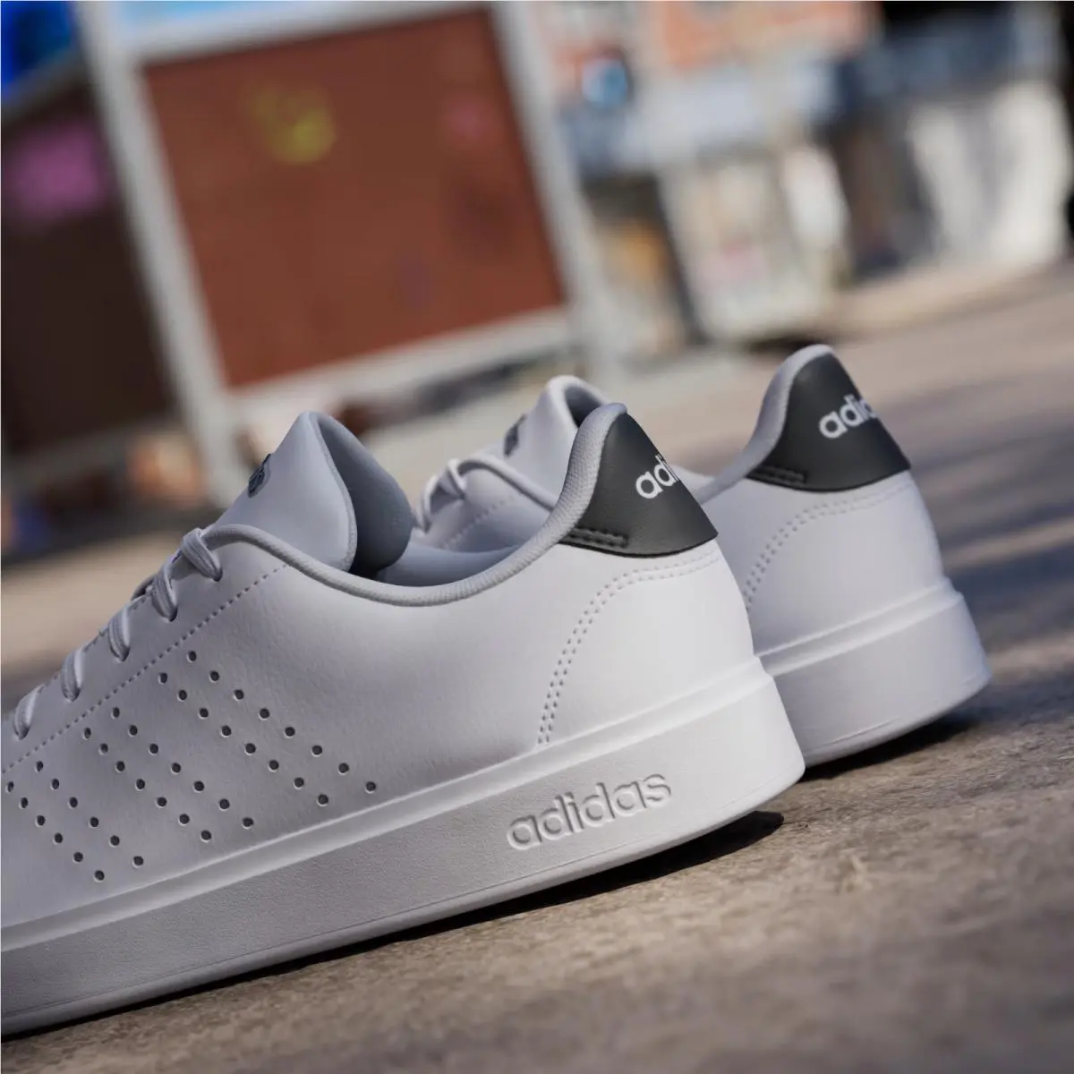 Adidas shoes - White 4