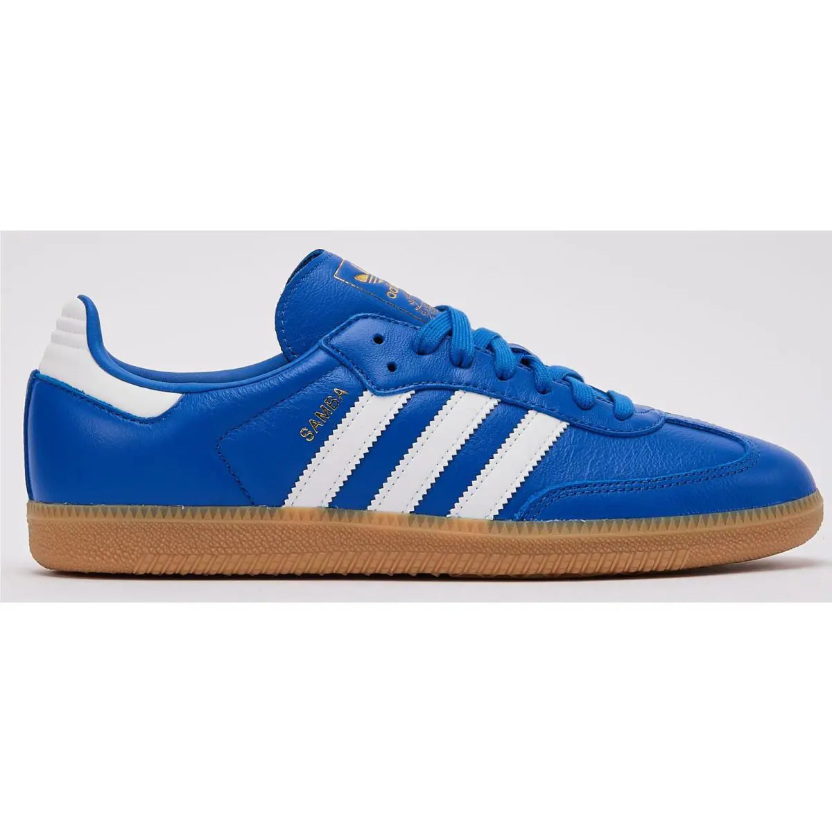 Adidas shoes - Blue 1
