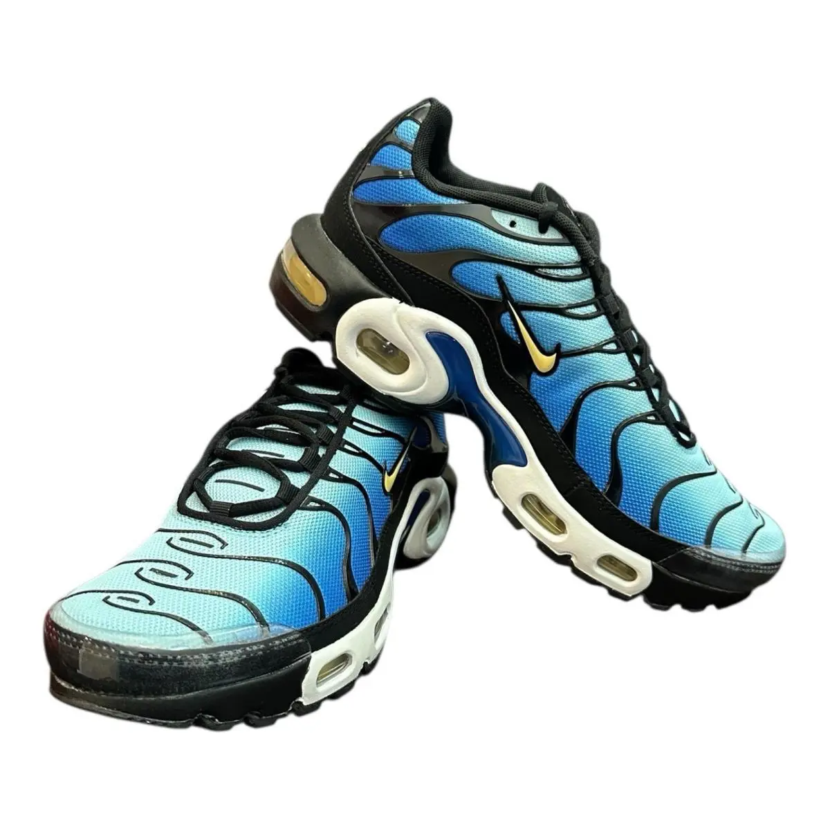 Nike shoes - Nike Air Max Plus - Air Max Plus - Blue 2