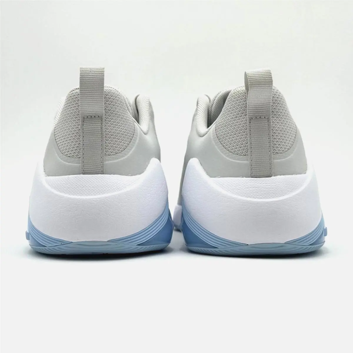 Nike shoes - Nike Zoom Air - Zoom Air - FZ1689 001 - Gray 1