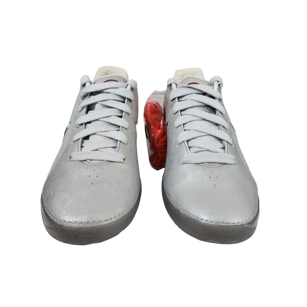 Nike shoes - Zoom LeBron NXXT Gen Future - IQ8495-002 - Silver 2