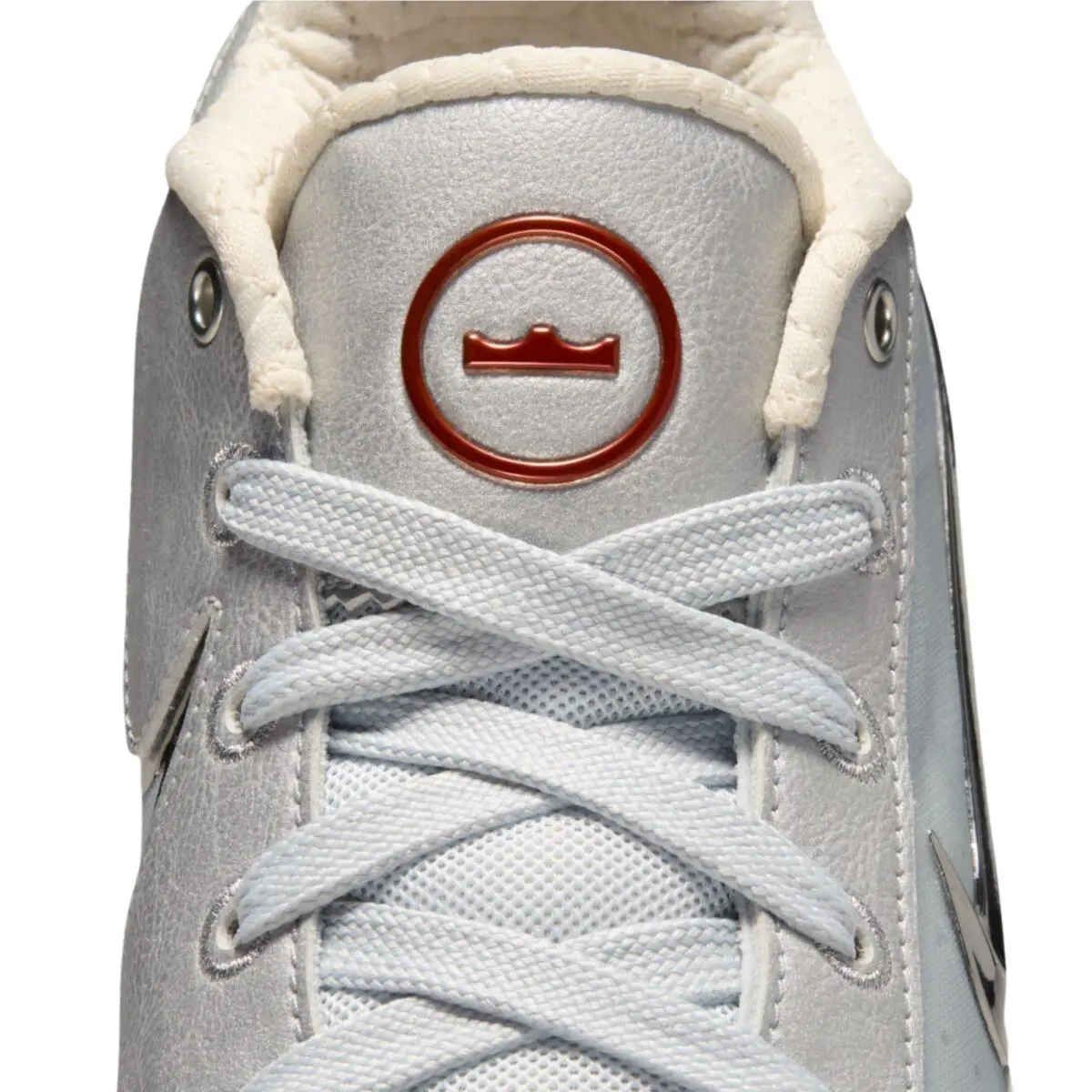 Nike shoes - Zoom LeBron NXXT Gen Future - IQ8495-002 - Silver 10