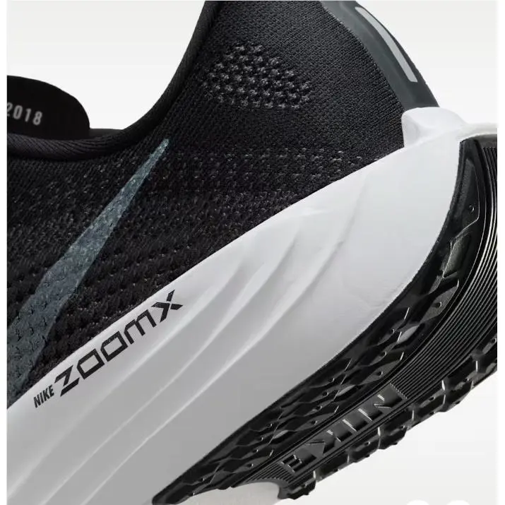 Nike shoes - Nike Pegasus - Pegasus - Black 11