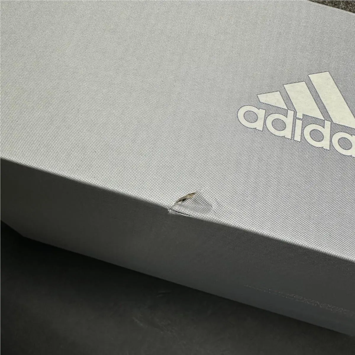 Adidas shoes - White 11