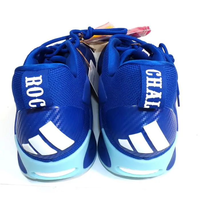 Adidas shoes - Blue 1