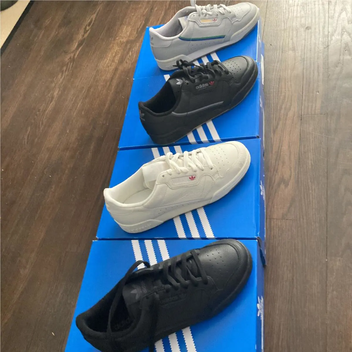 Adidas shoes - adidas Continental - Continental - Multicolor 5