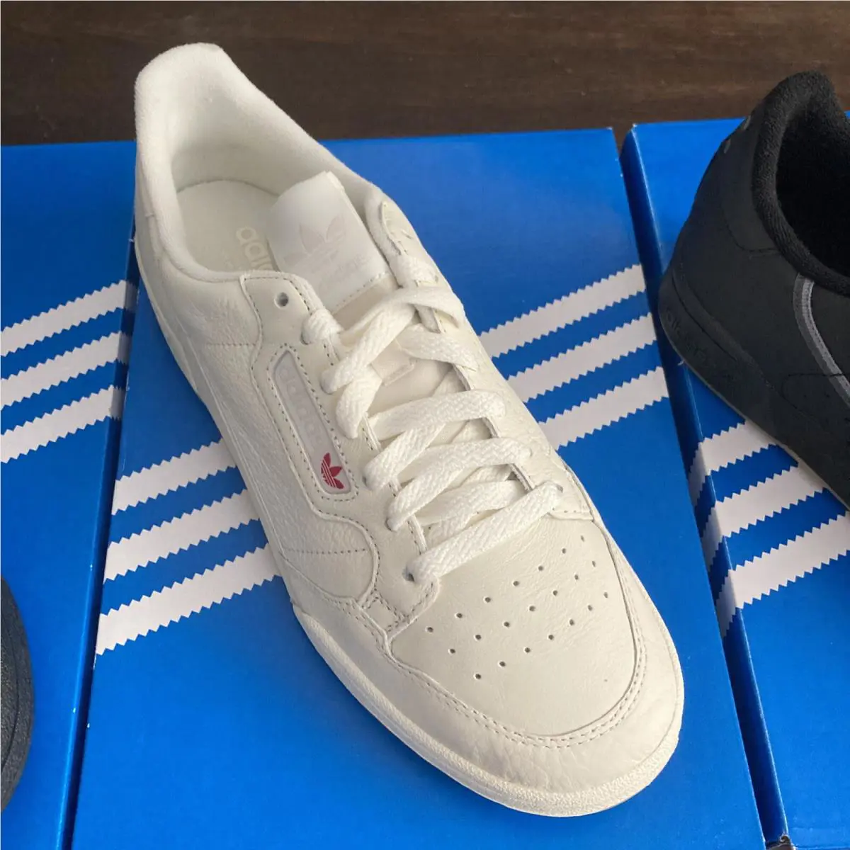 Adidas shoes - adidas Continental - Continental - Multicolor 7