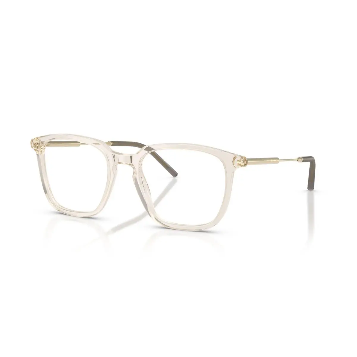 Moncler 2012 Eyeglasses 3003 Brown