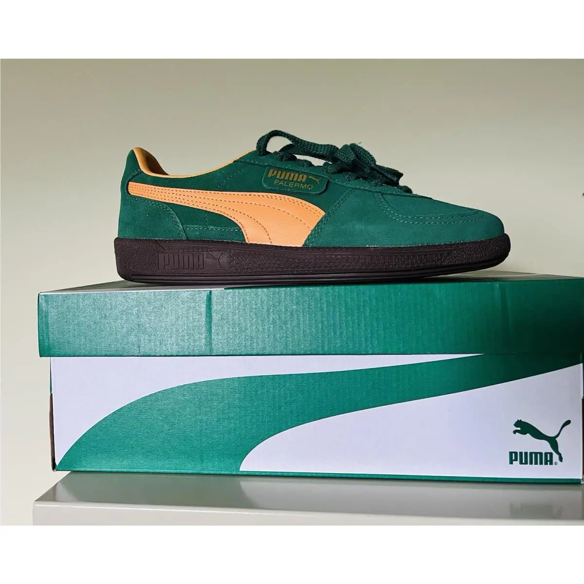 Puma shoes - PUMA Palermo - Palermo - 396463-05 - Green 2