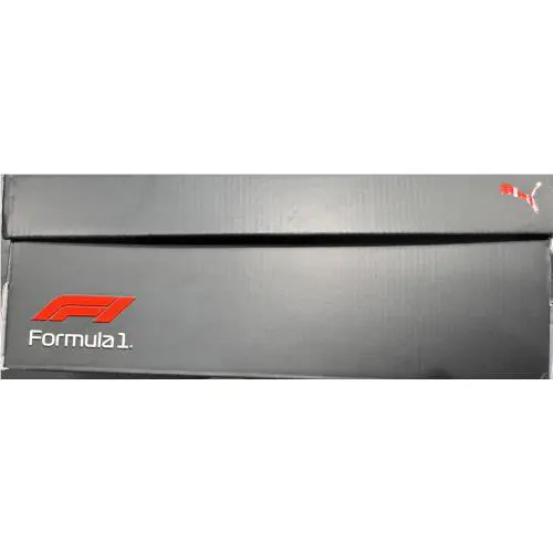 Puma shoes - F1 Formula 1 Future Cat - Gray 8