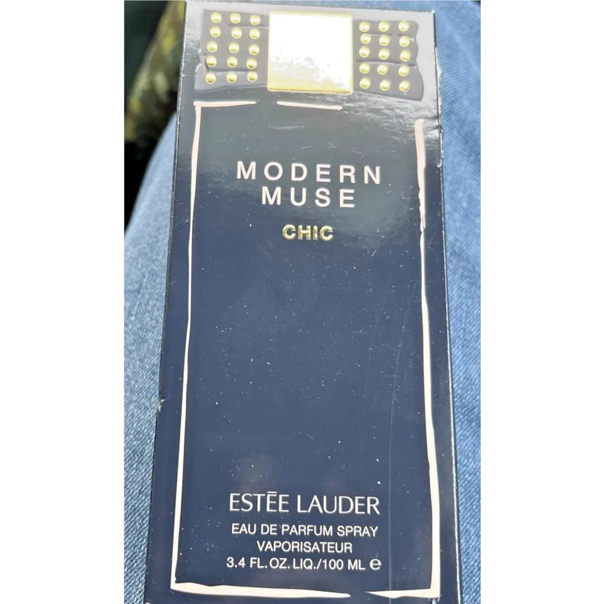 Estee Lauder Modern Muse Chic 3.4 Fl. Oz. 100ML Edp Spray