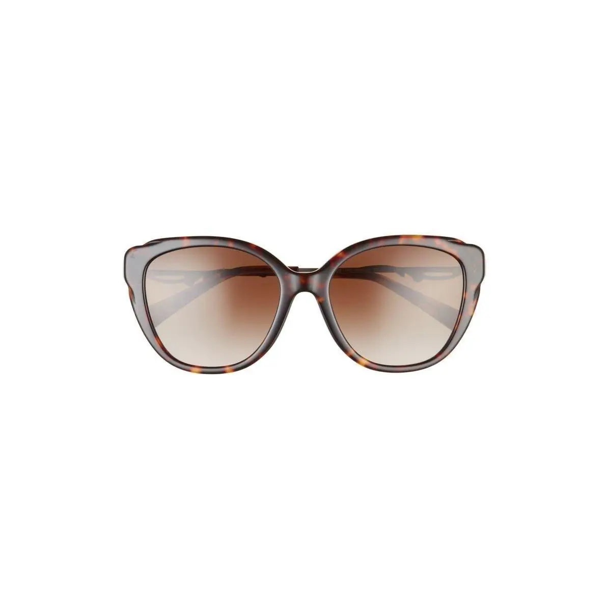 Coach Women 55mm Cat Eye Sunglasses Dark Tortoise