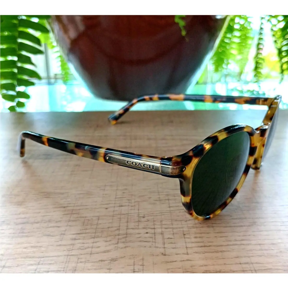 Coach HC8312U 517171 Oval Full Rim Sunglasses Tokyo Tortoise/dk Green Lens 51mm