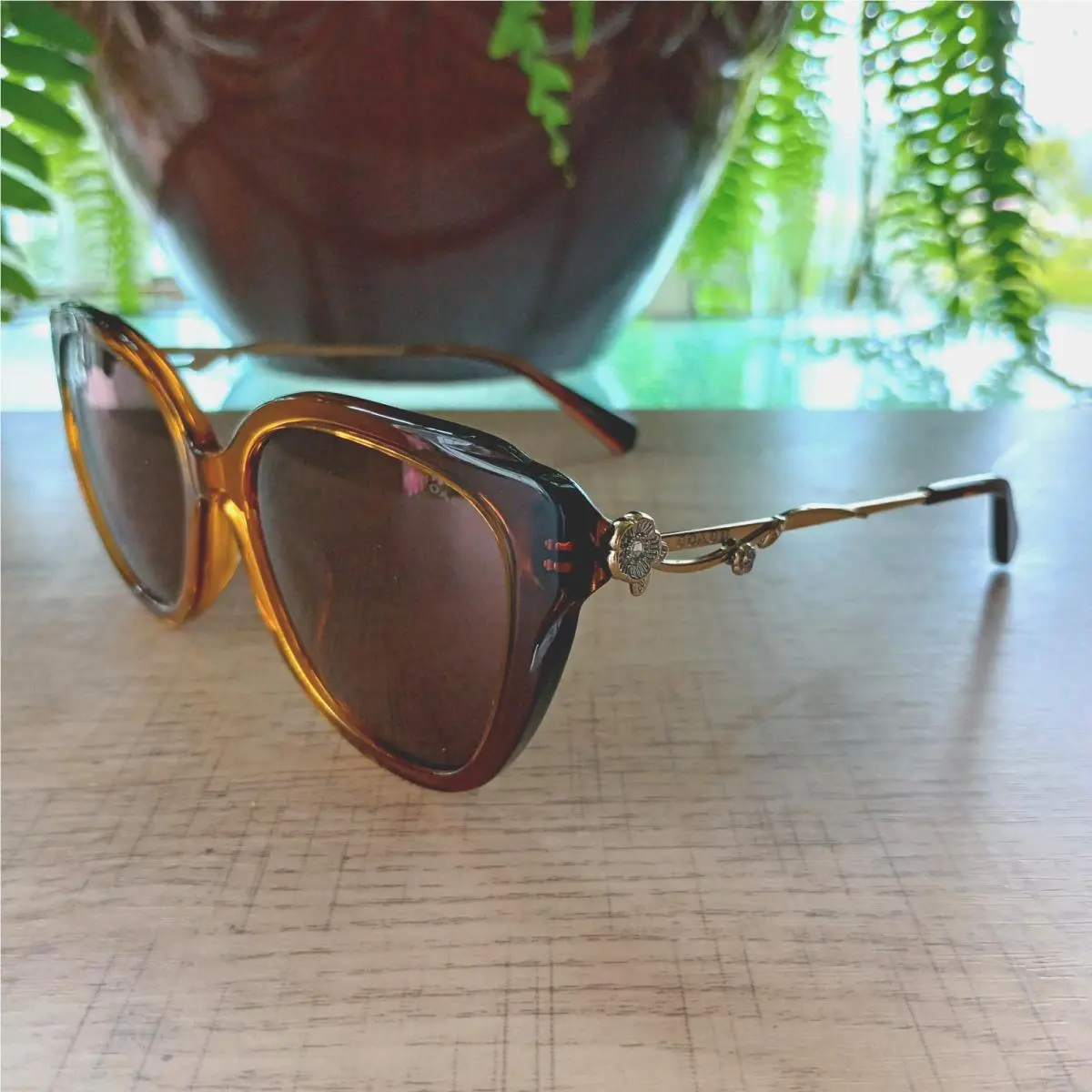 Coach Womens Sunglasses HC8347BU 57016G Transparent Amber/ Smoke Lens 55mm