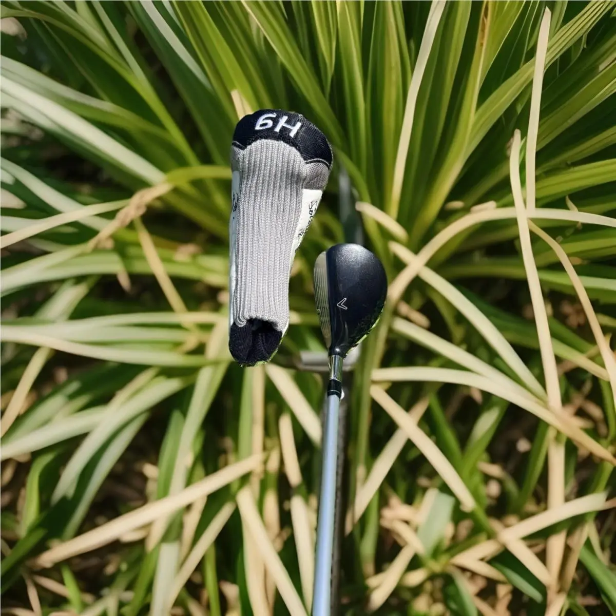 Callaway  - Solaire - Solaire - Black, Lie Angle: Silver 8