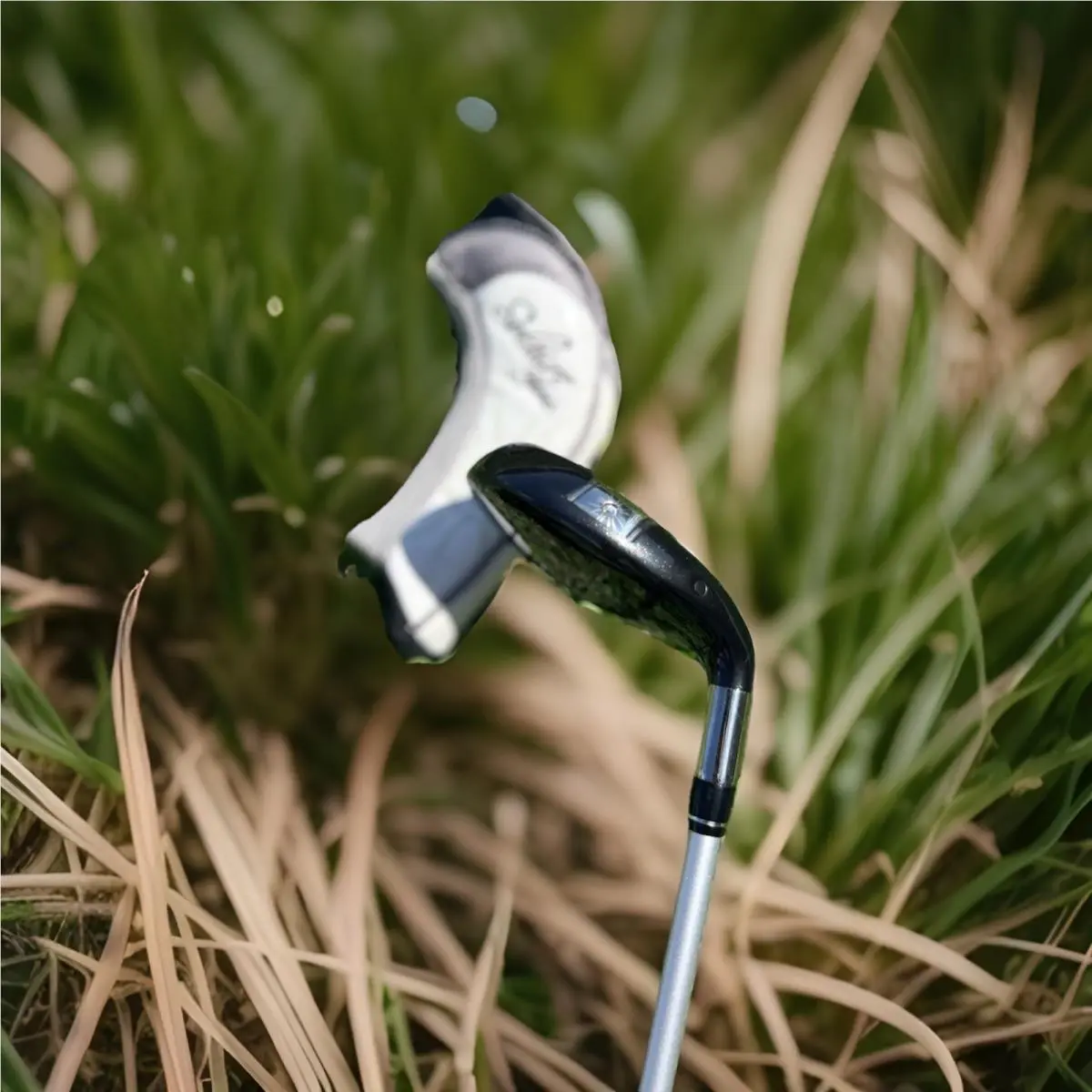 Callaway  - Solaire - Solaire - Black, Lie Angle: Silver 6