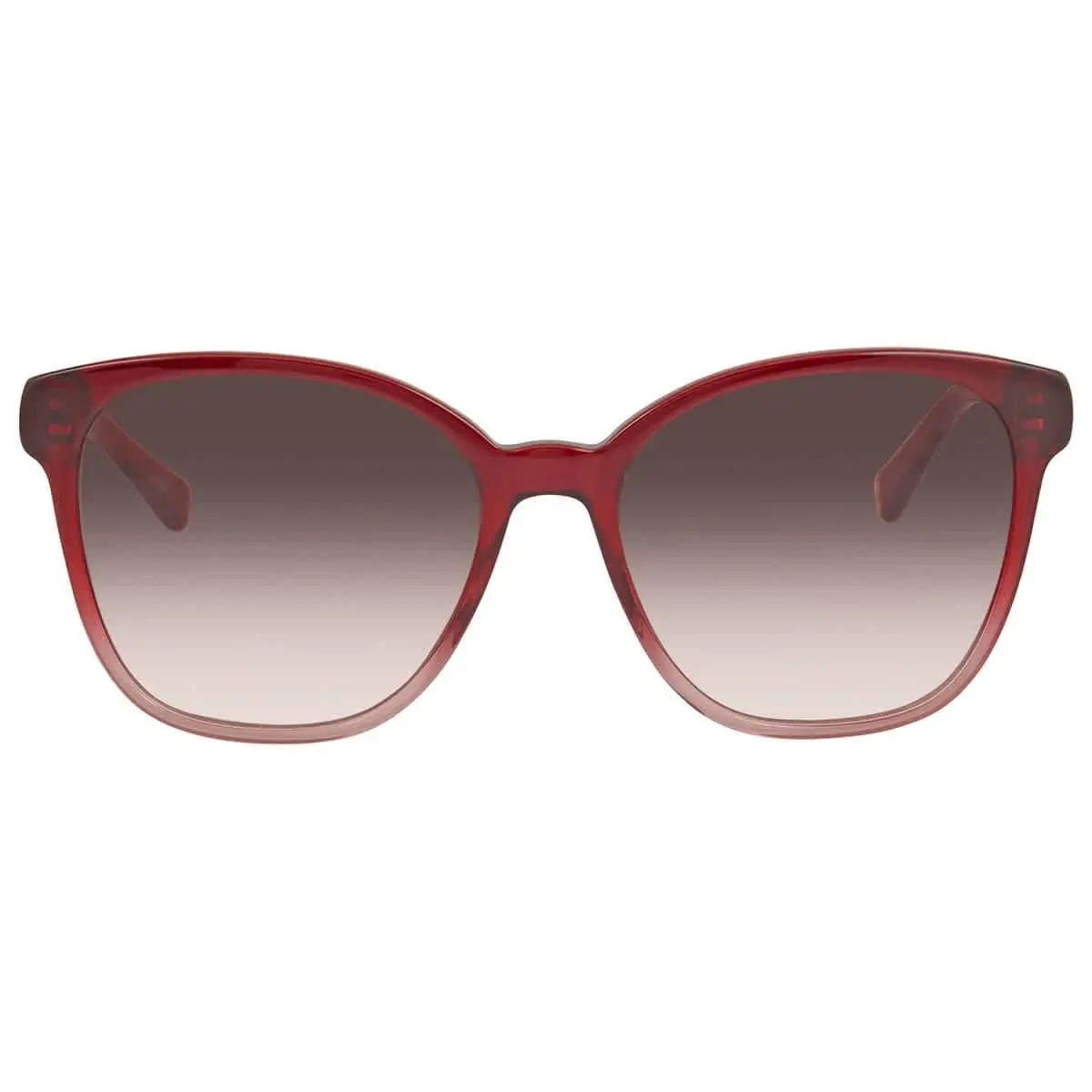 Tommy Hilfiger Brown Gradient Square Ladies Sunglasses TH1811S 0C9A 55/17