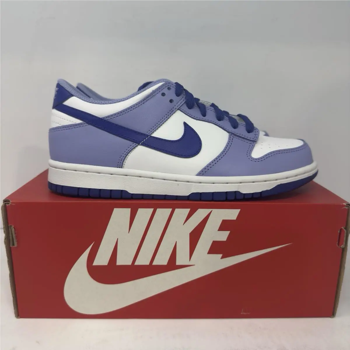 Nike Dunk Low Retro GS Blueberry Purple Grade School Size 6Y/7.5W DZ4456-100