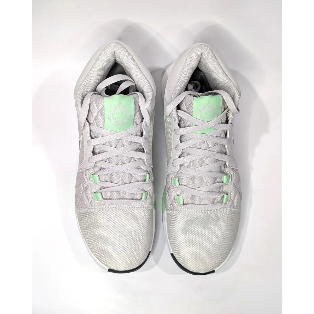 Nike shoes - Nike LeBron Witness 8 - LeBron Witness - HQ2139-002 - Light Bone/Anthracite 11