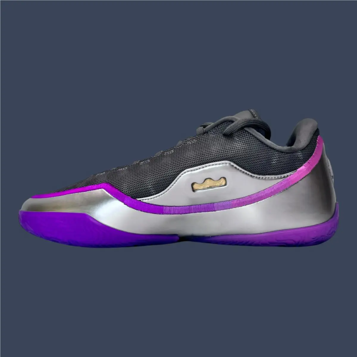 Nike shoes - Nike LeBron XXIII Lux | Cool Grey/Multi-Color/Metallic Silver | 0
