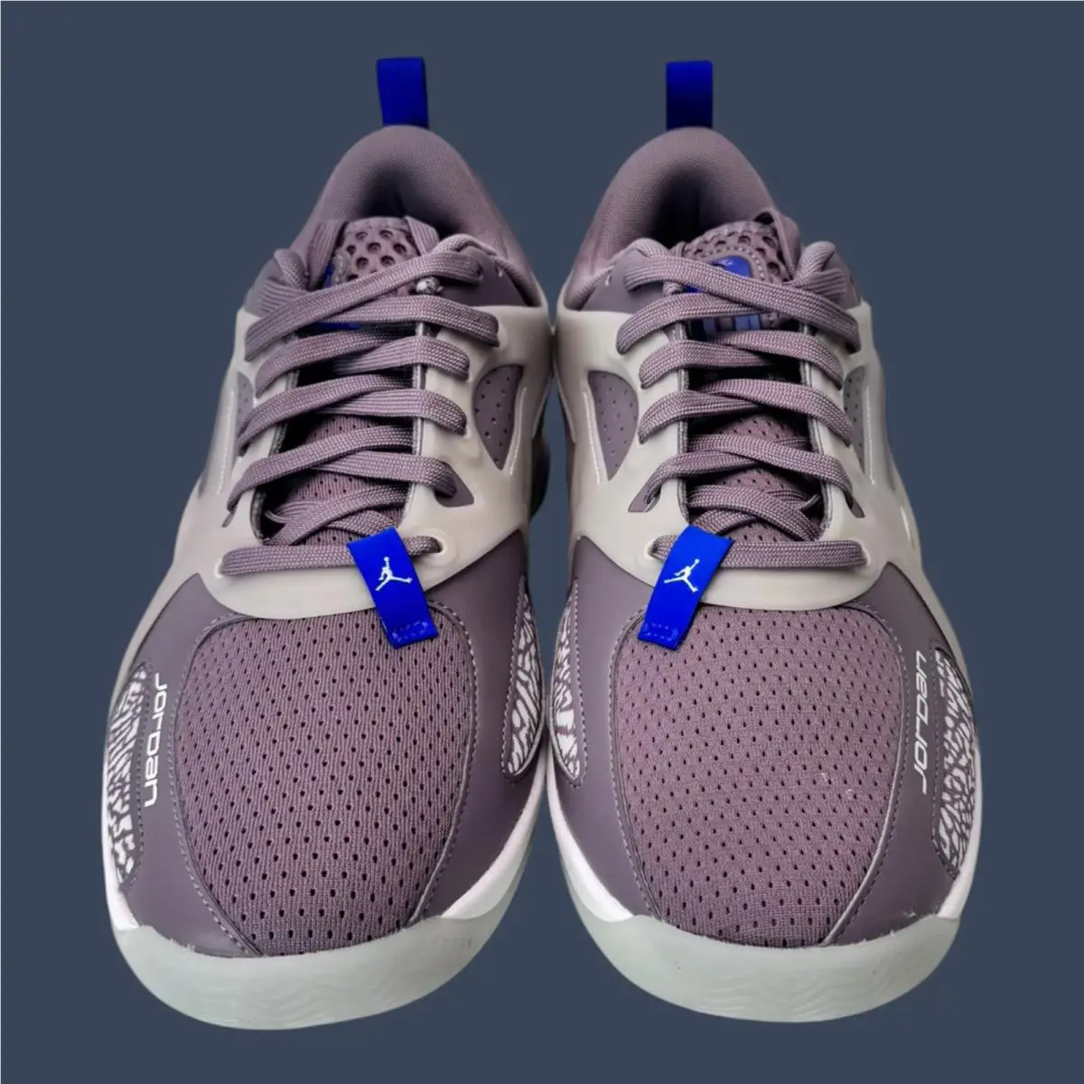 Nike shoes - Jordan Heir Purple Smoke/Light Silver | FZ2471-501 0