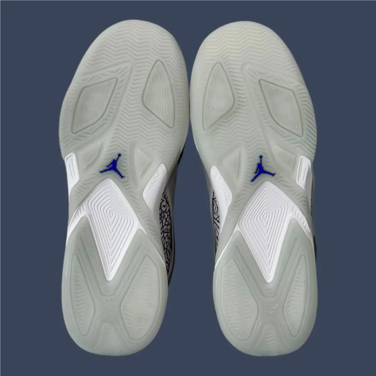 Nike shoes - Jordan Heir Purple Smoke/Light Silver | FZ2471-501 2