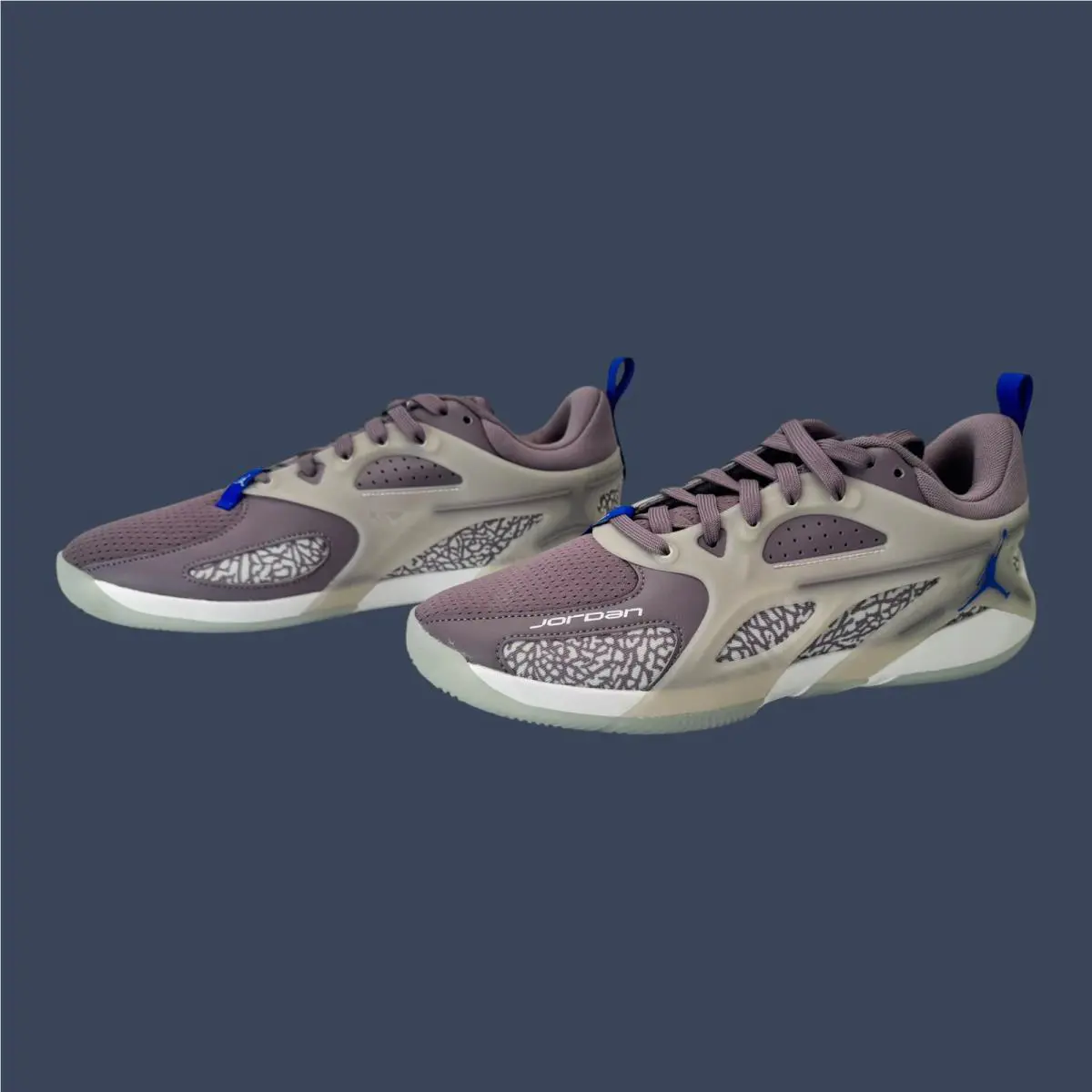 Nike shoes - Jordan Heir Purple Smoke/Light Silver | FZ2471-501 4